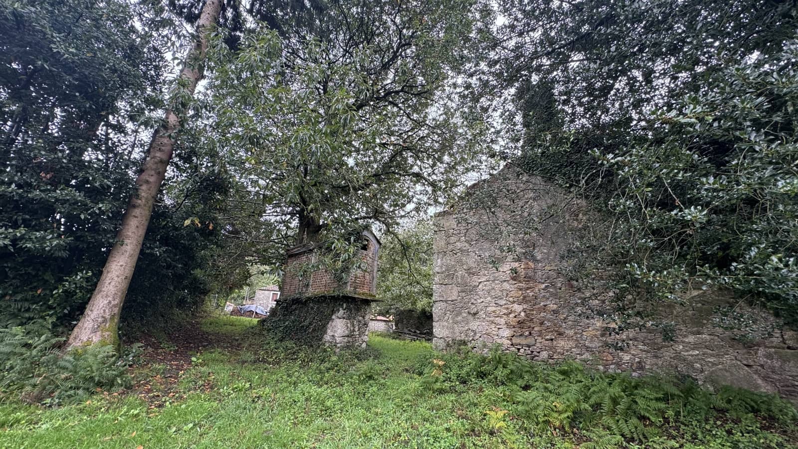 Ruin til salg i Sobrado - € 65.000 (Ref: 9267564)