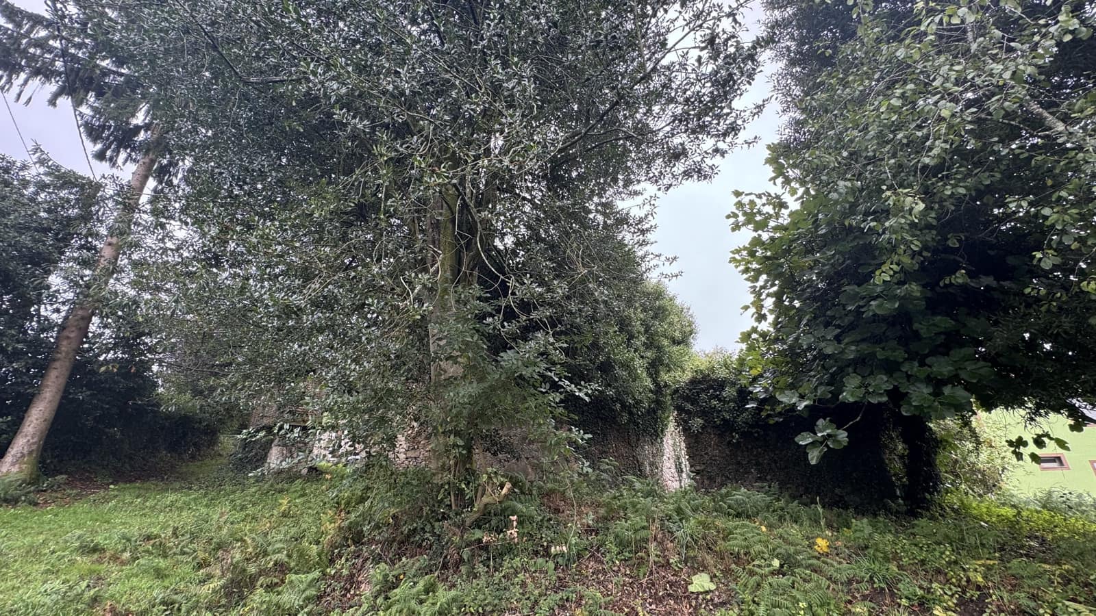 Ruin til salg i Sobrado - € 65.000 (Ref: 9267564)