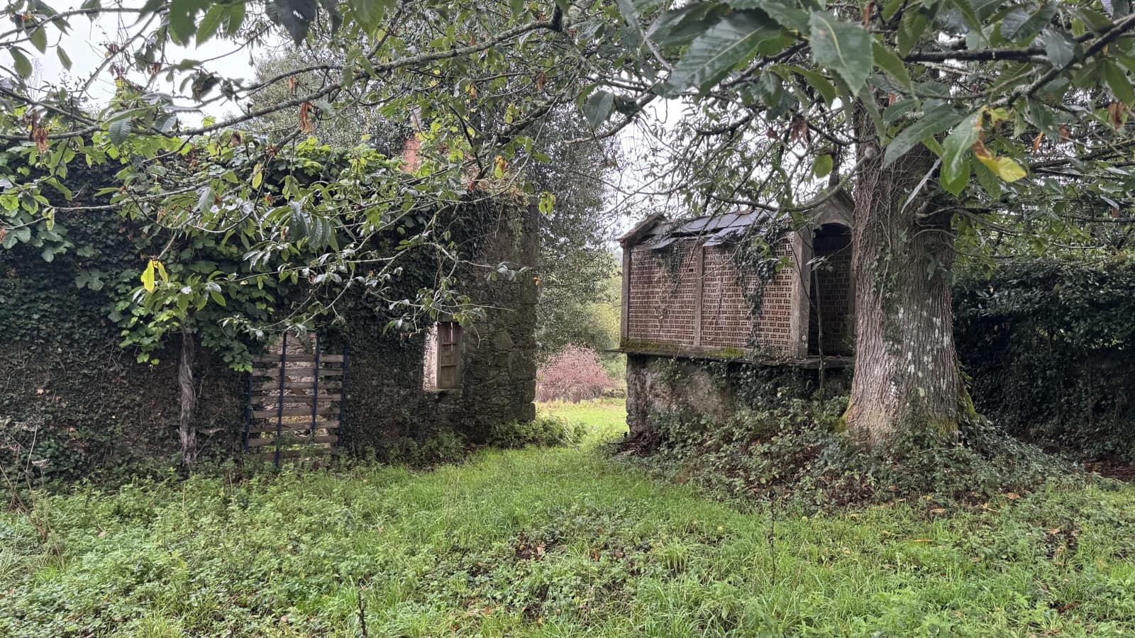 Ruin til salg i Sobrado - € 65.000 (Ref: 9267564)