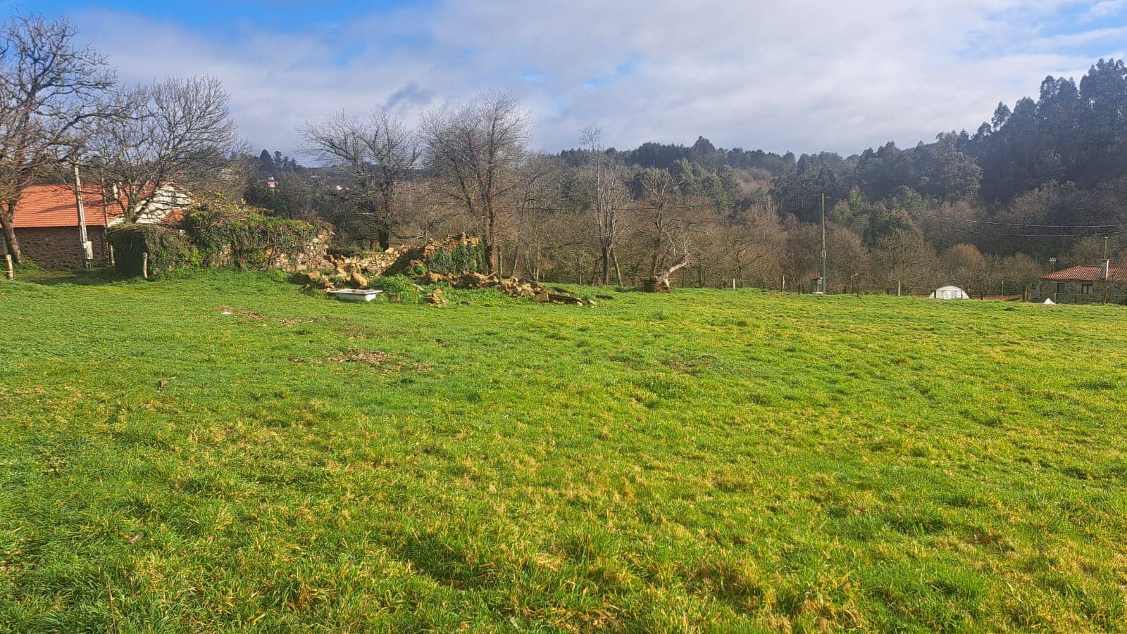 Ruin til salg i Melide - € 68.000 (Ref: 9267662)