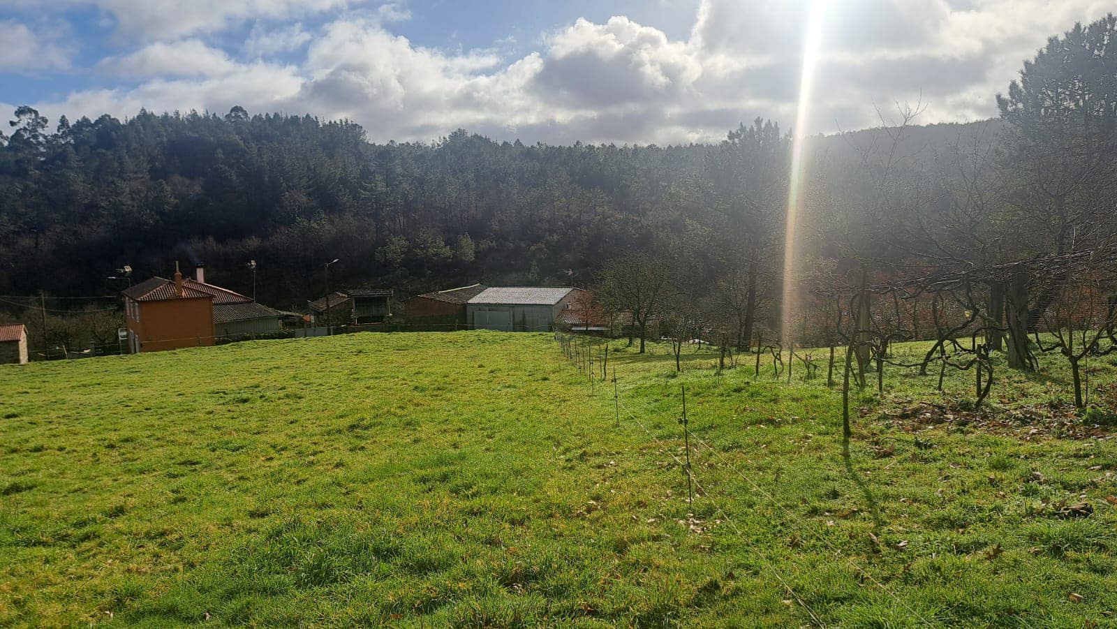 Ruin til salg i Melide - € 68.000 (Ref: 9267662)