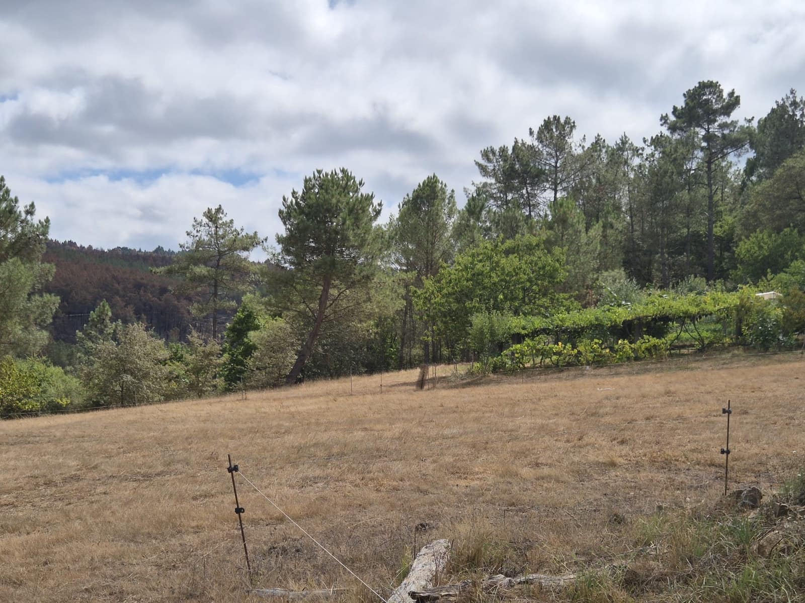 Ruin til salg i Melide - € 68.000 (Ref: 9267662)