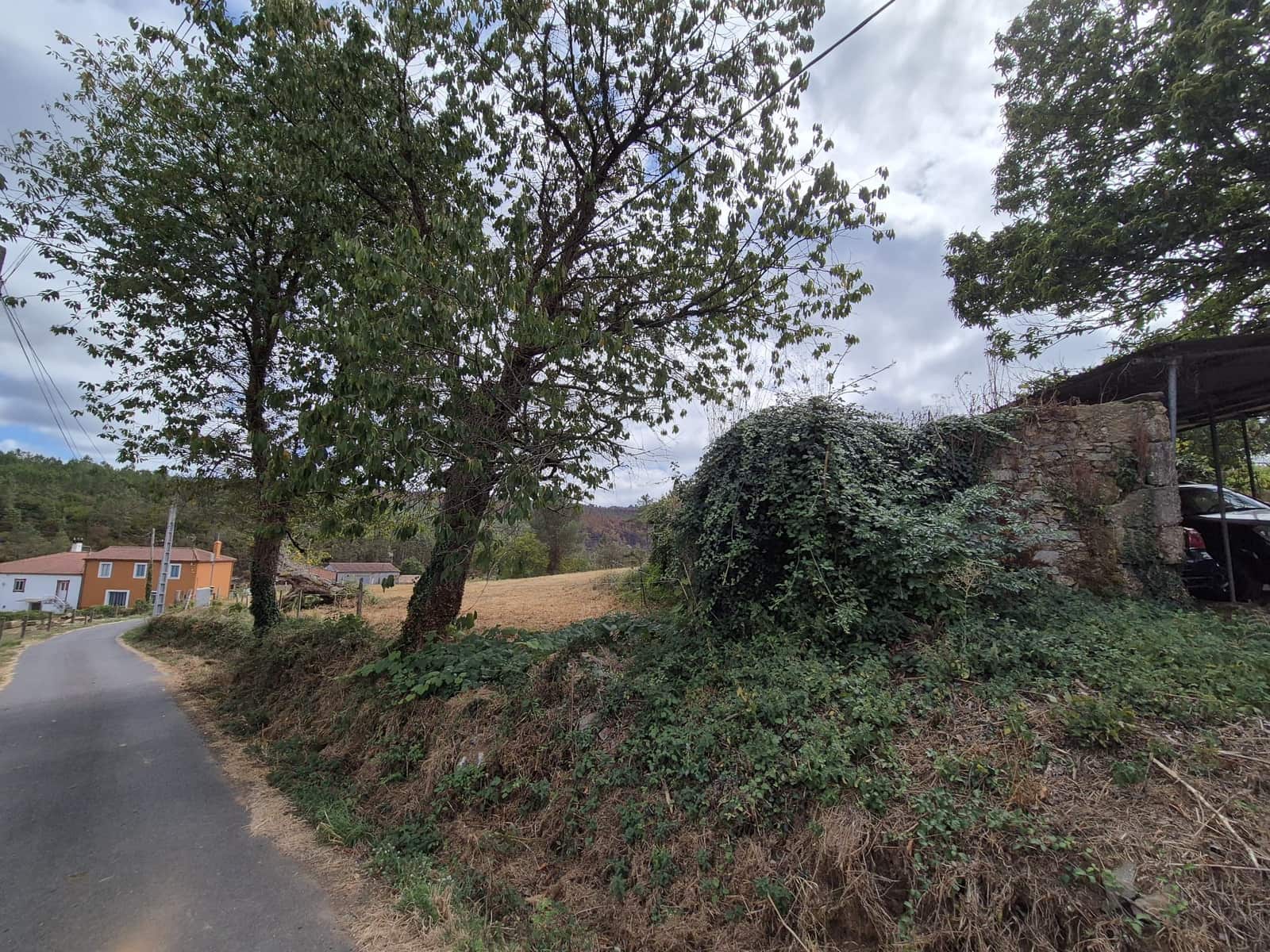 Ruin til salg i Melide - € 68.000 (Ref: 9267662)