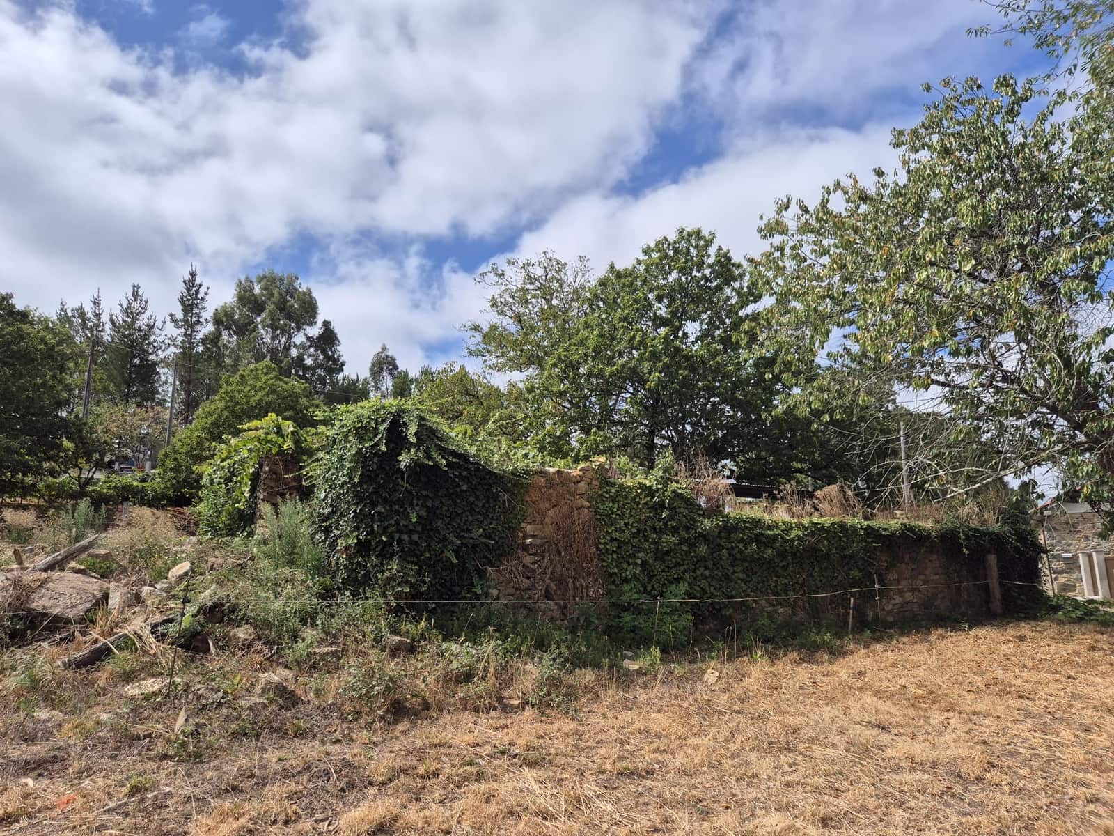 Ruin til salg i Melide - € 68.000 (Ref: 9267662)