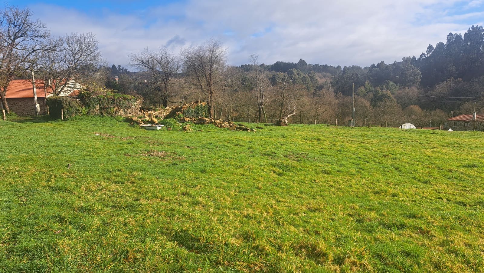 Ruin til salg i Melide - € 68.000 (Ref: 9267662)