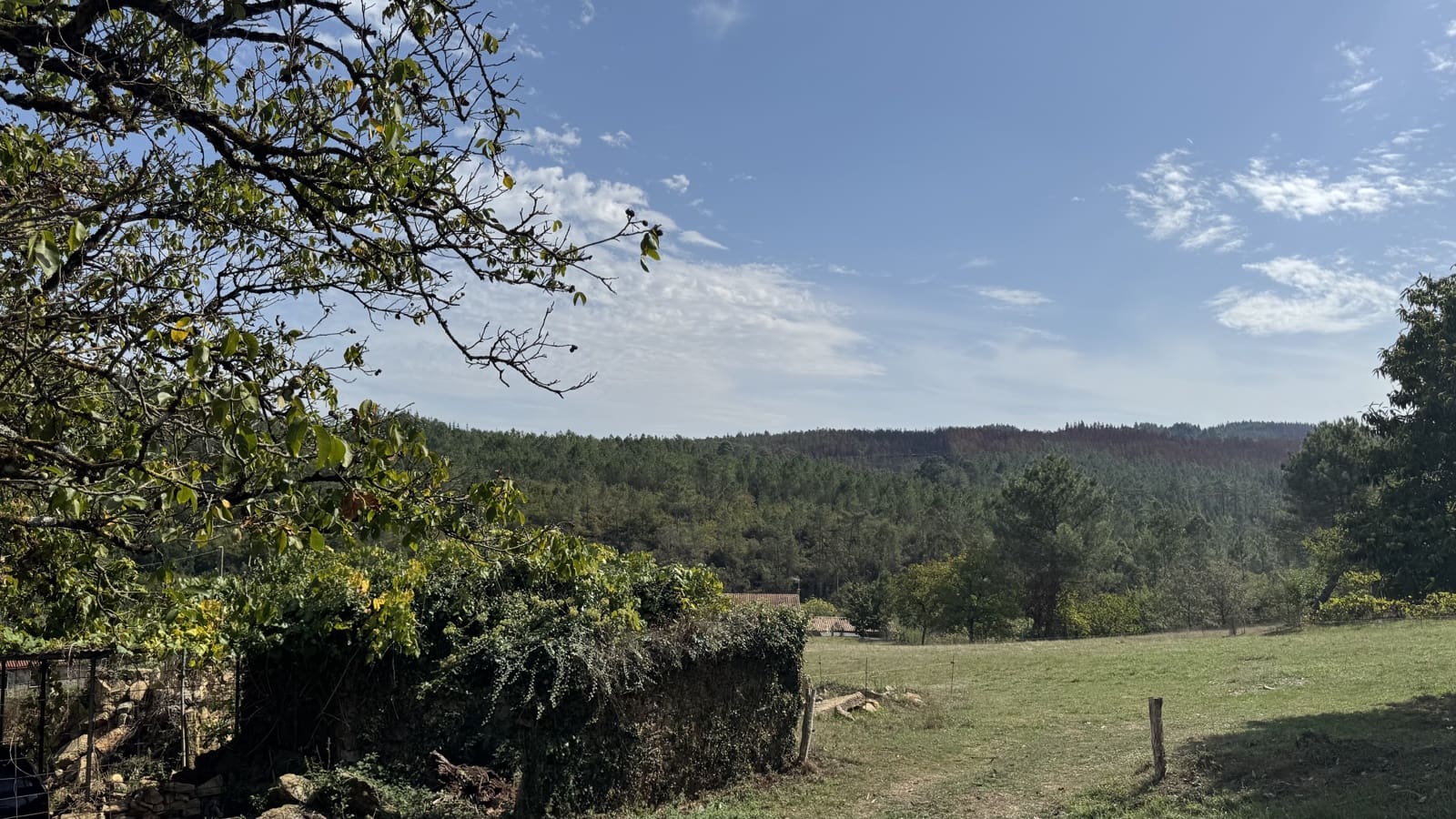 Ruin til salg i Melide - € 68.000 (Ref: 9267662)