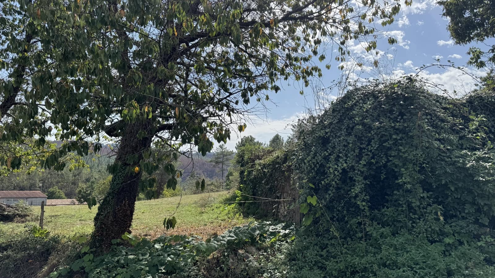 Ruin til salg i Melide - € 68.000 (Ref: 9267662)