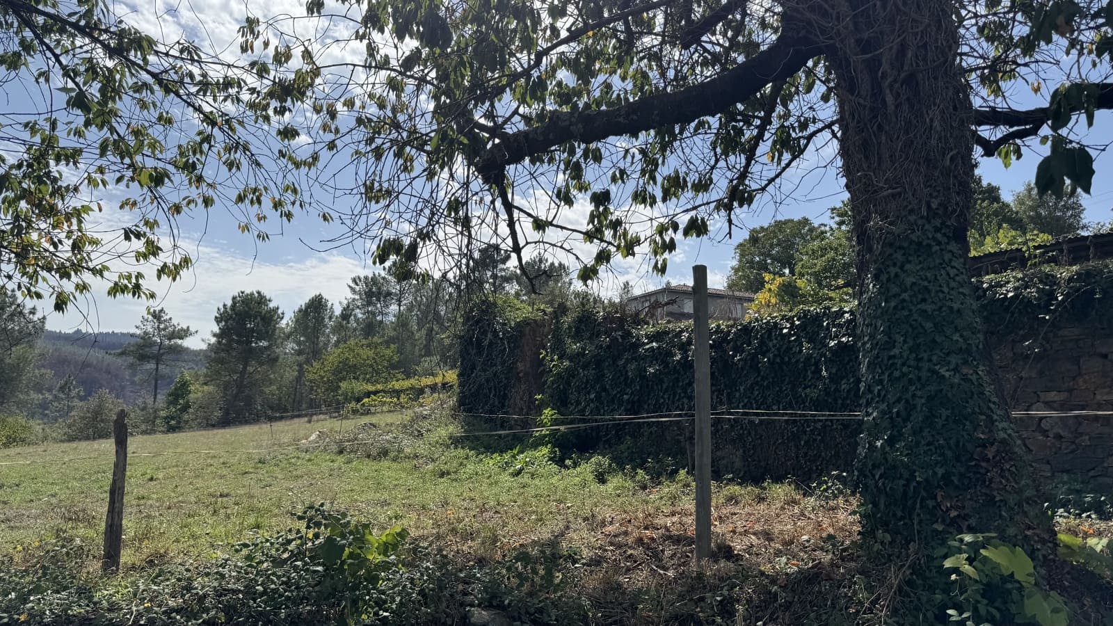 Ruin til salg i Melide - € 68.000 (Ref: 9267662)