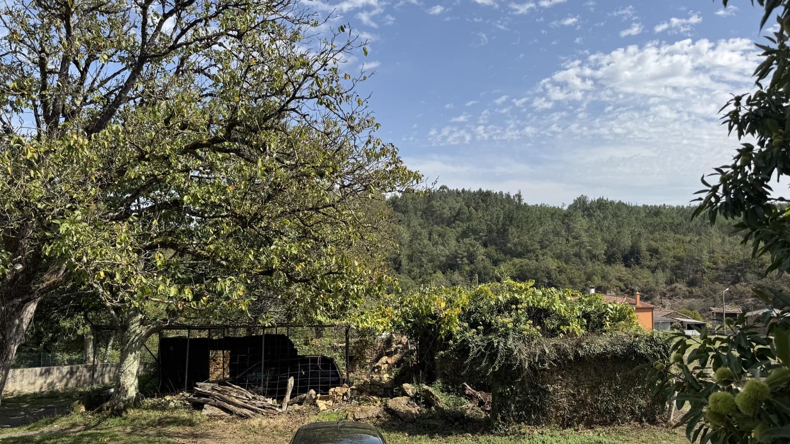 Ruin til salg i Melide - € 68.000 (Ref: 9267662)