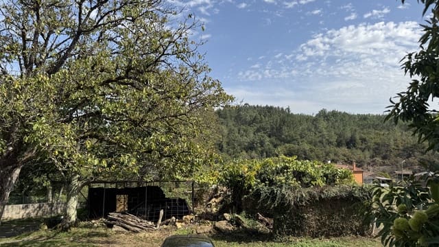 Ruin til salgs i Melide - € 68 000 (Ref: 9267662)