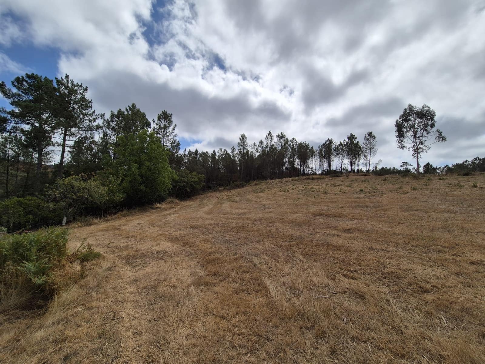 Ruin til salg i Melide - € 35.000 (Ref: 9267663)