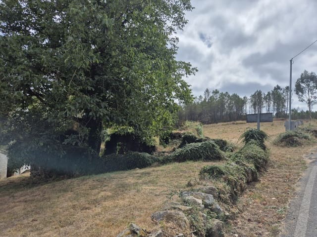 Ruin til salg i Melide - € 35.000 (Ref: 9267663)