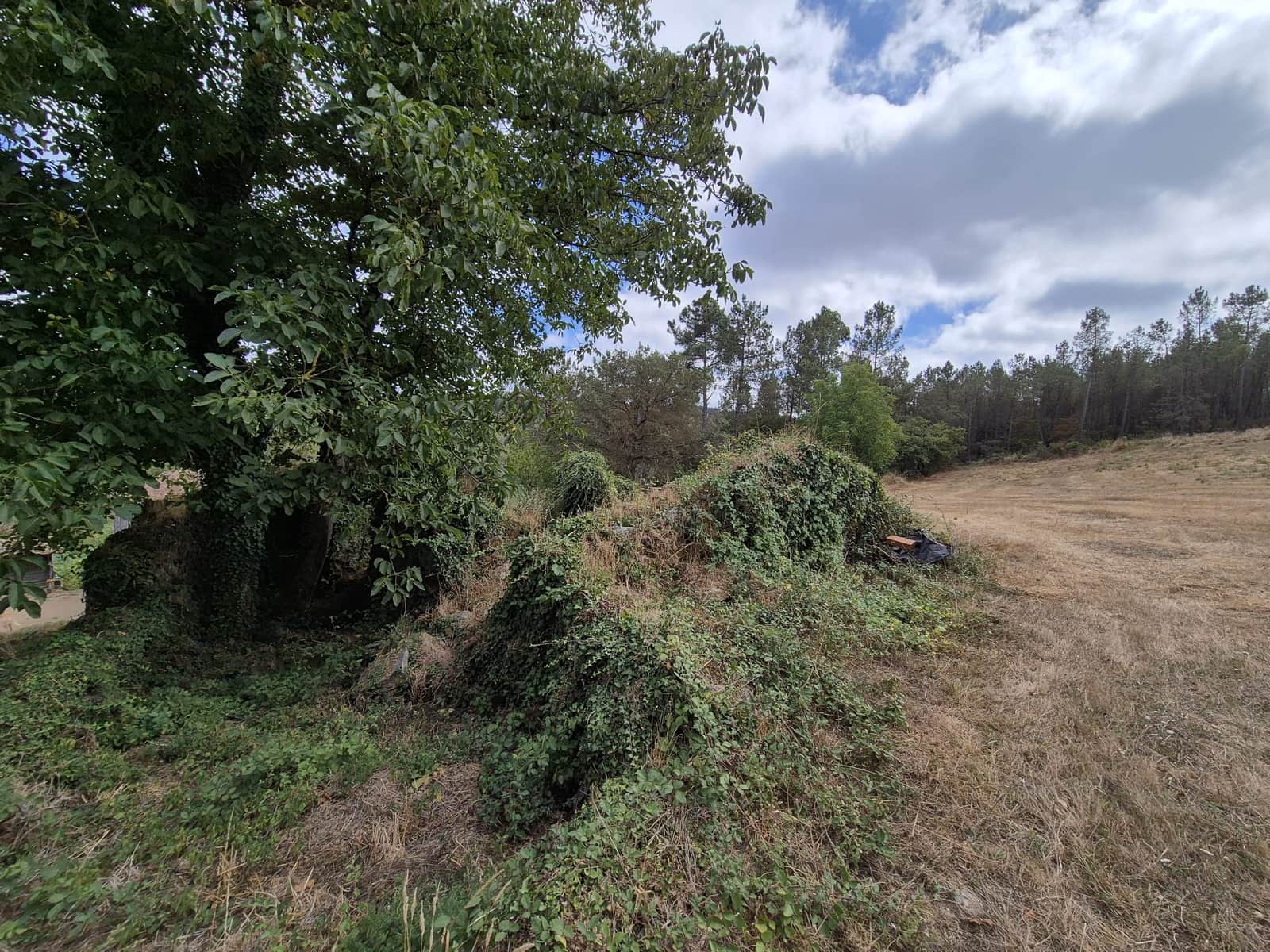 Ruin til salg i Melide - € 35.000 (Ref: 9267663)