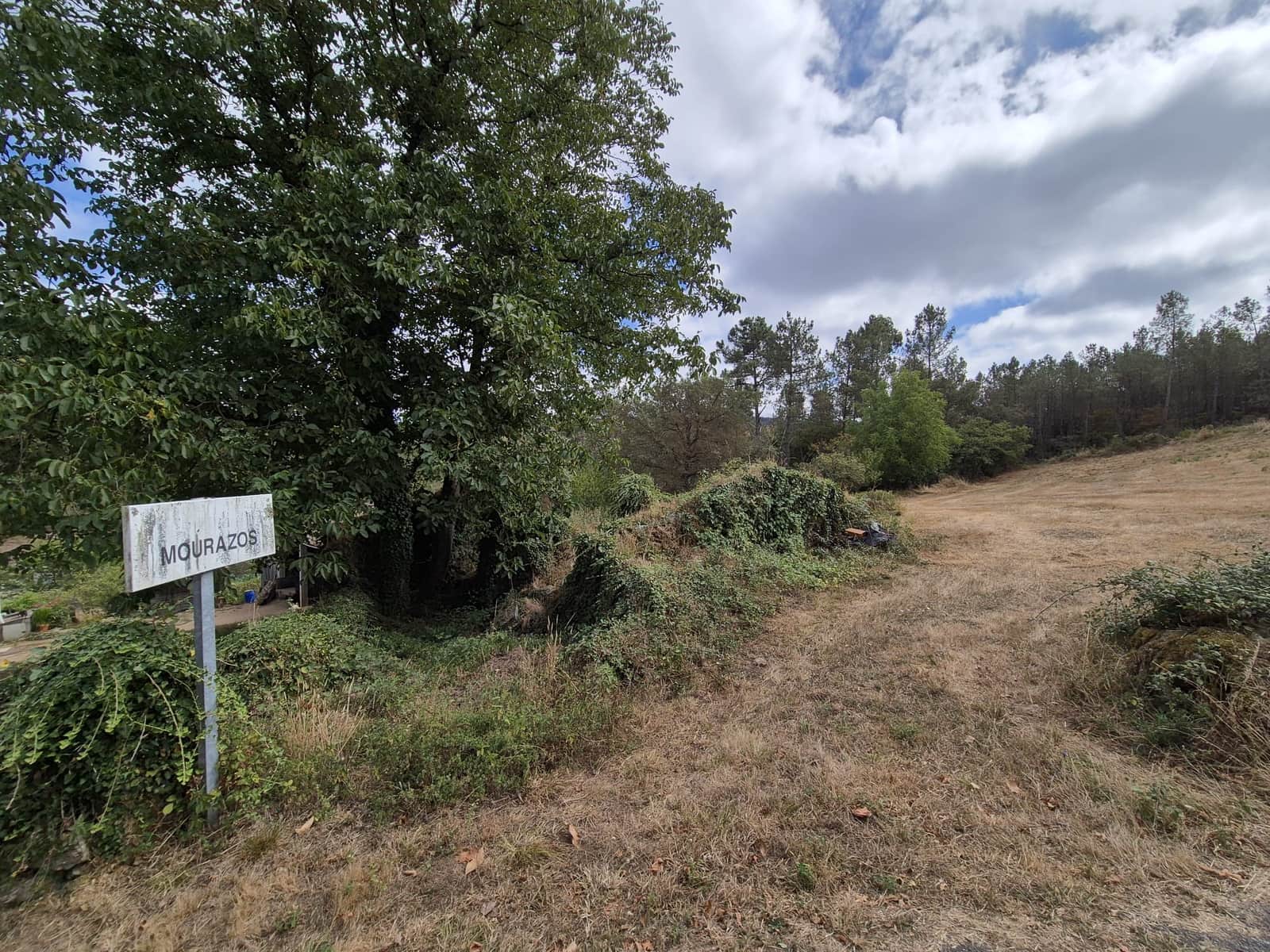 Ruin til salg i Melide - € 35.000 (Ref: 9267663)