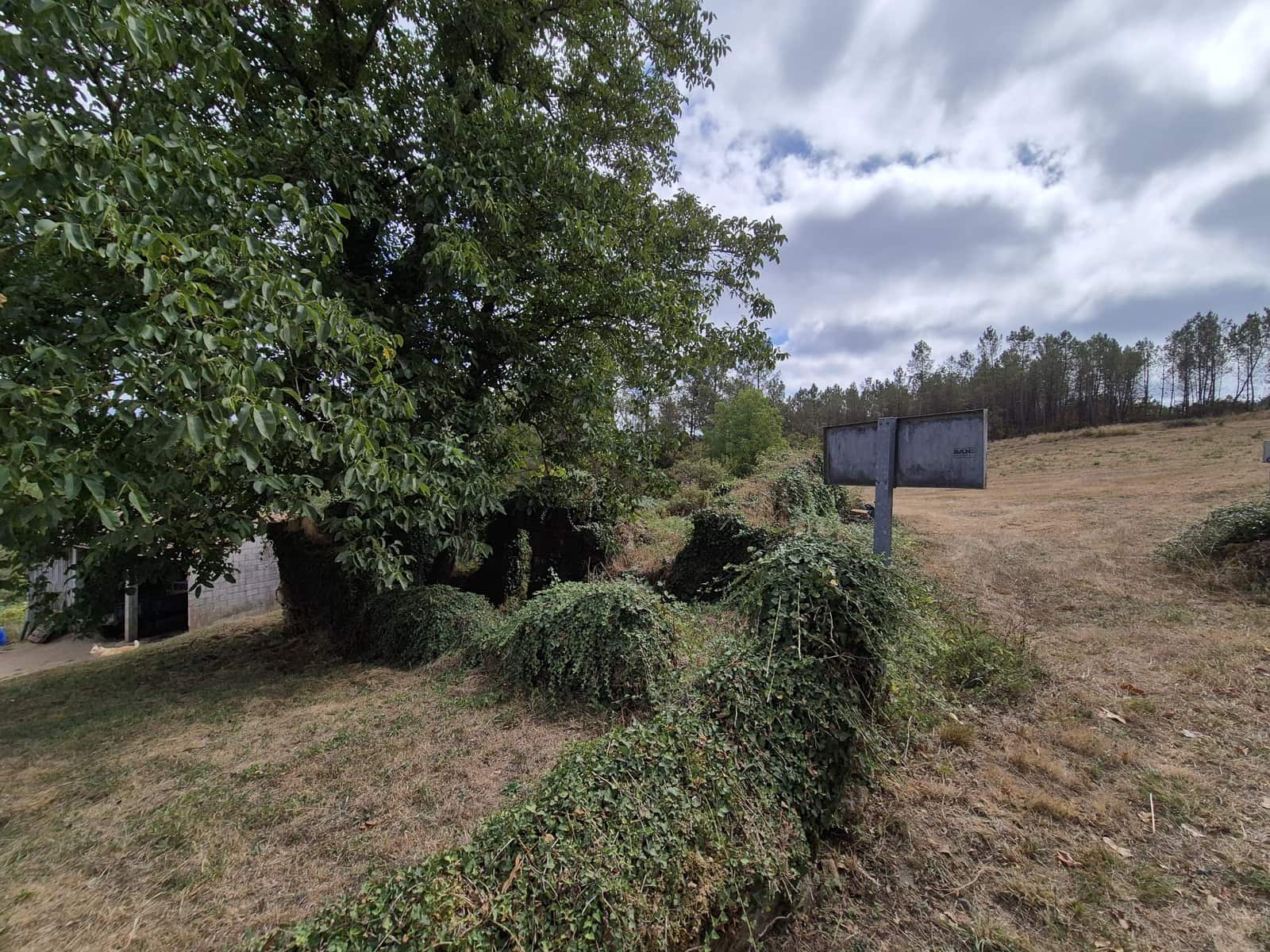 Ruin til salg i Melide - € 35.000 (Ref: 9267663)