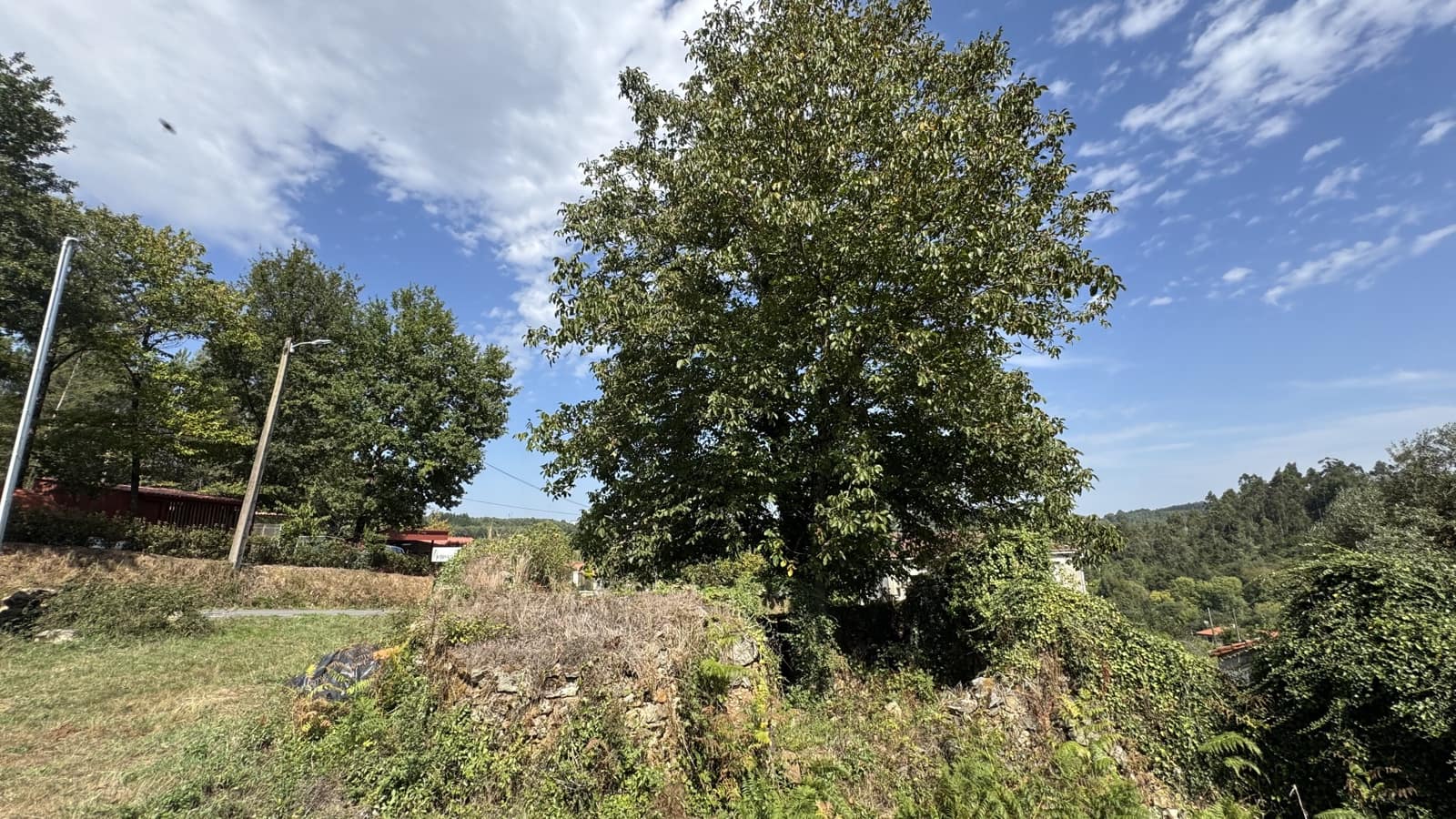 Ruin til salg i Melide - € 35.000 (Ref: 9267663)