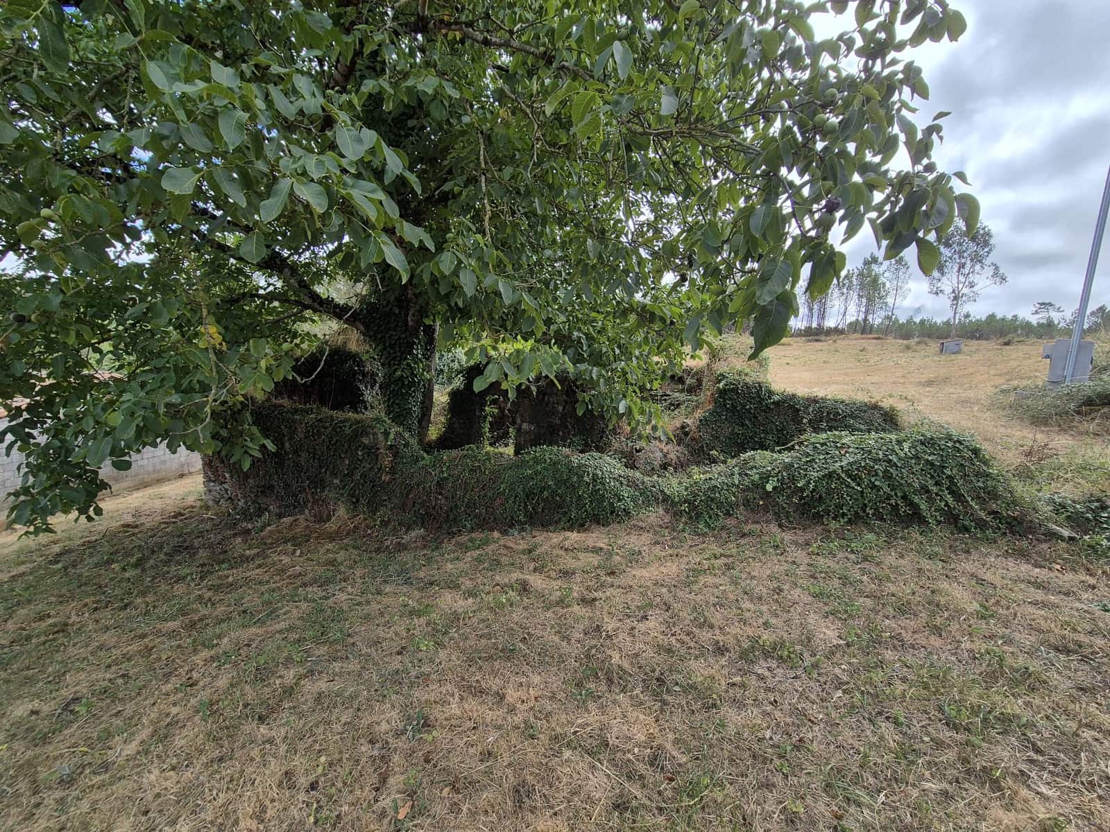 Ruin til salg i Melide - € 35.000 (Ref: 9267663)