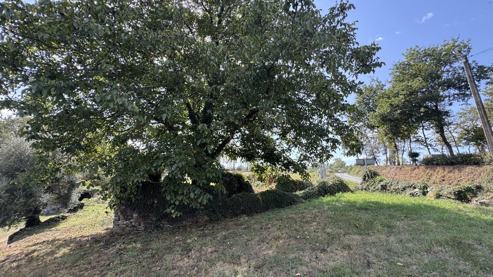 Ruin til salg i Melide - € 35.000 (Ref: 9267663)