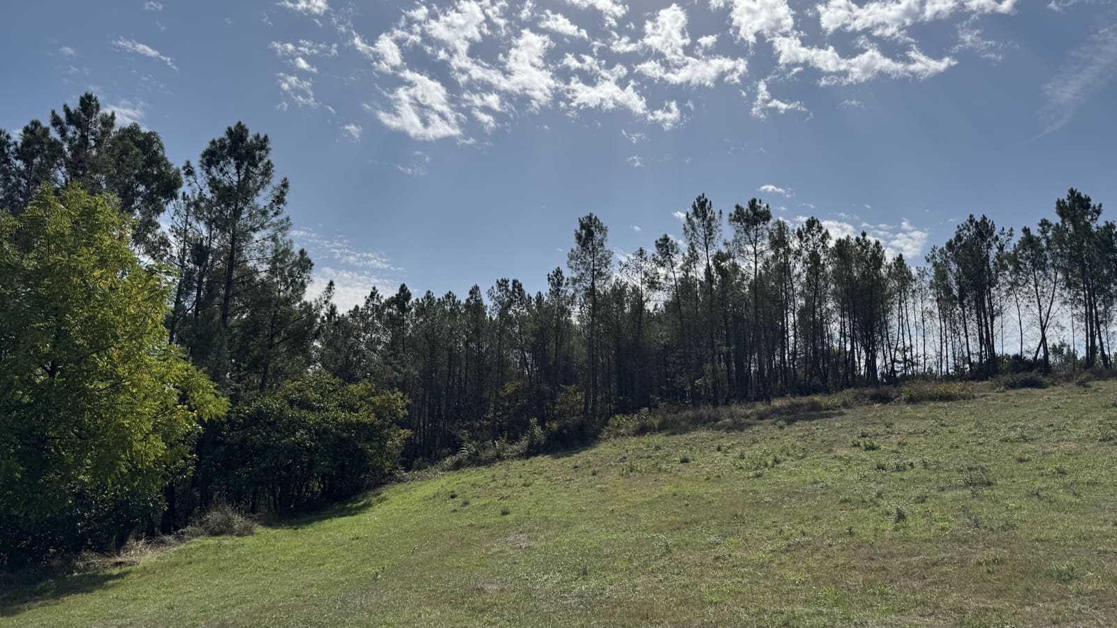 Ruin til salg i Melide - € 35.000 (Ref: 9267663)