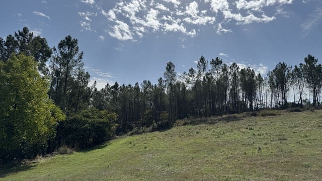 Ruin til salg i Melide - € 35.000 (Ref: 9267663)