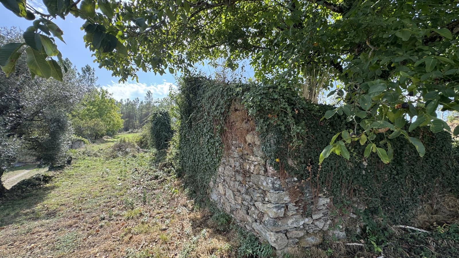 Ruin til salg i Melide - € 35.000 (Ref: 9267663)