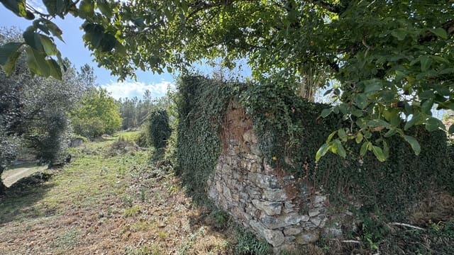 Ruin til salg i Melide - € 35.000 (Ref: 9267663)