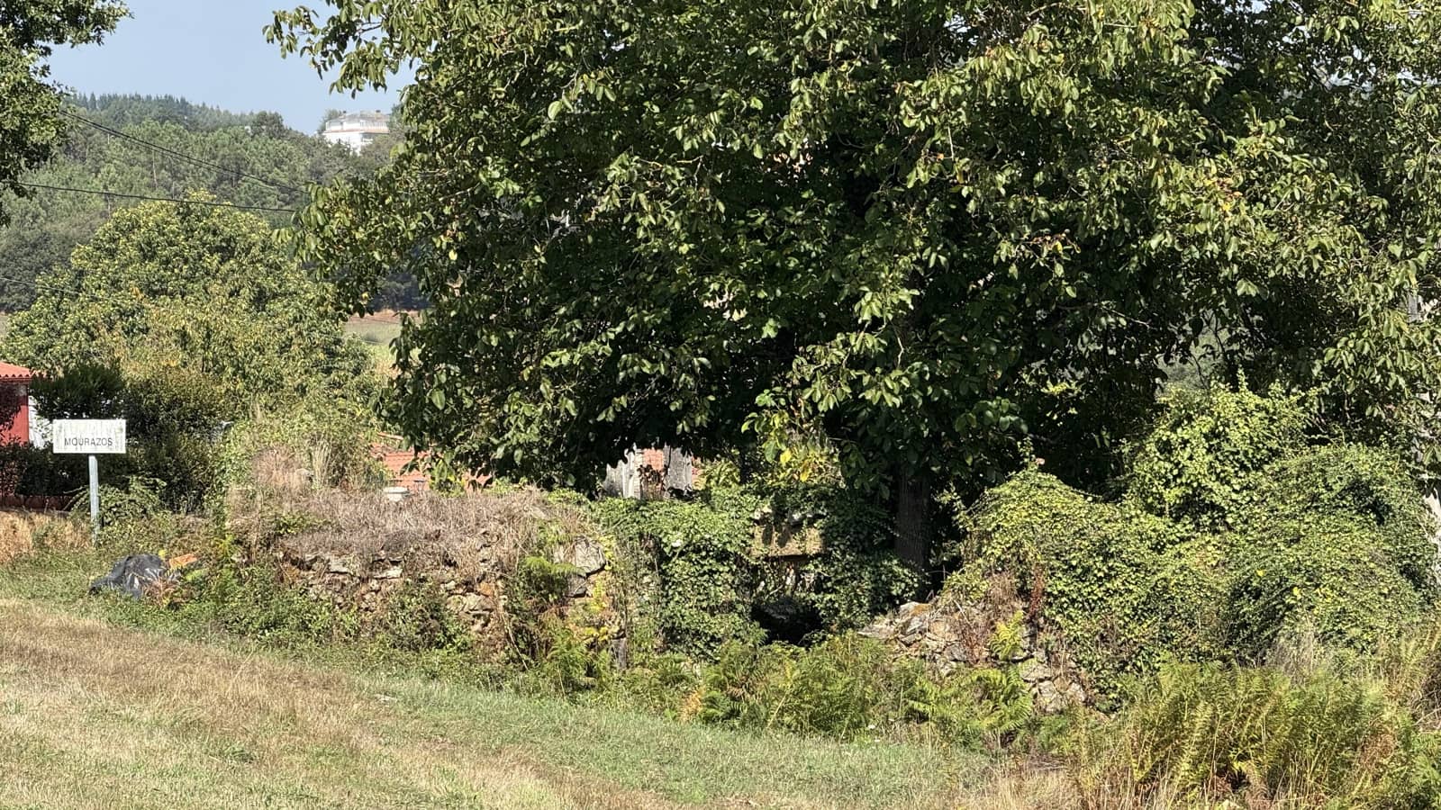 Ruin til salg i Melide - € 35.000 (Ref: 9267663)