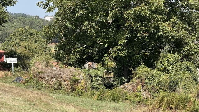 Ruin til salg i Melide - € 35.000 (Ref: 9267663)