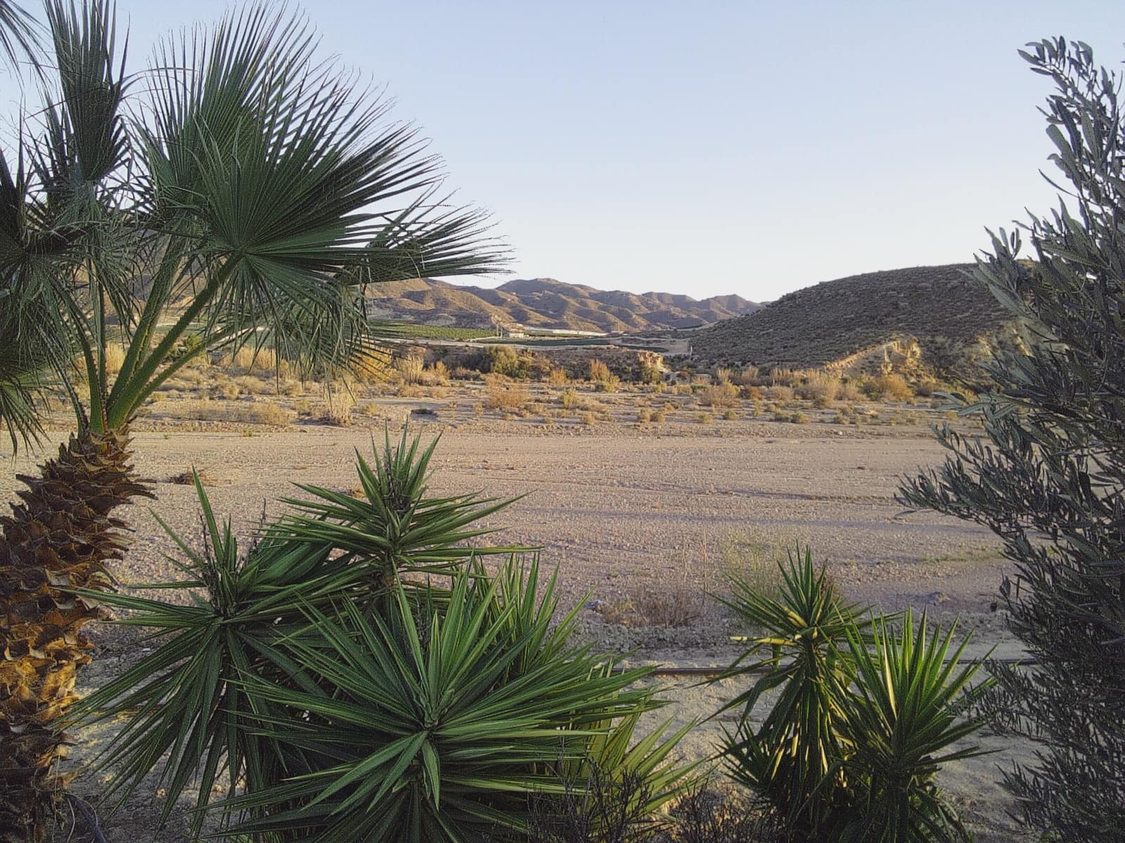 2 sypialnia Domek mobilny na sprzedaż w Los Lobos - 35 000 € (Ref: 9254462)