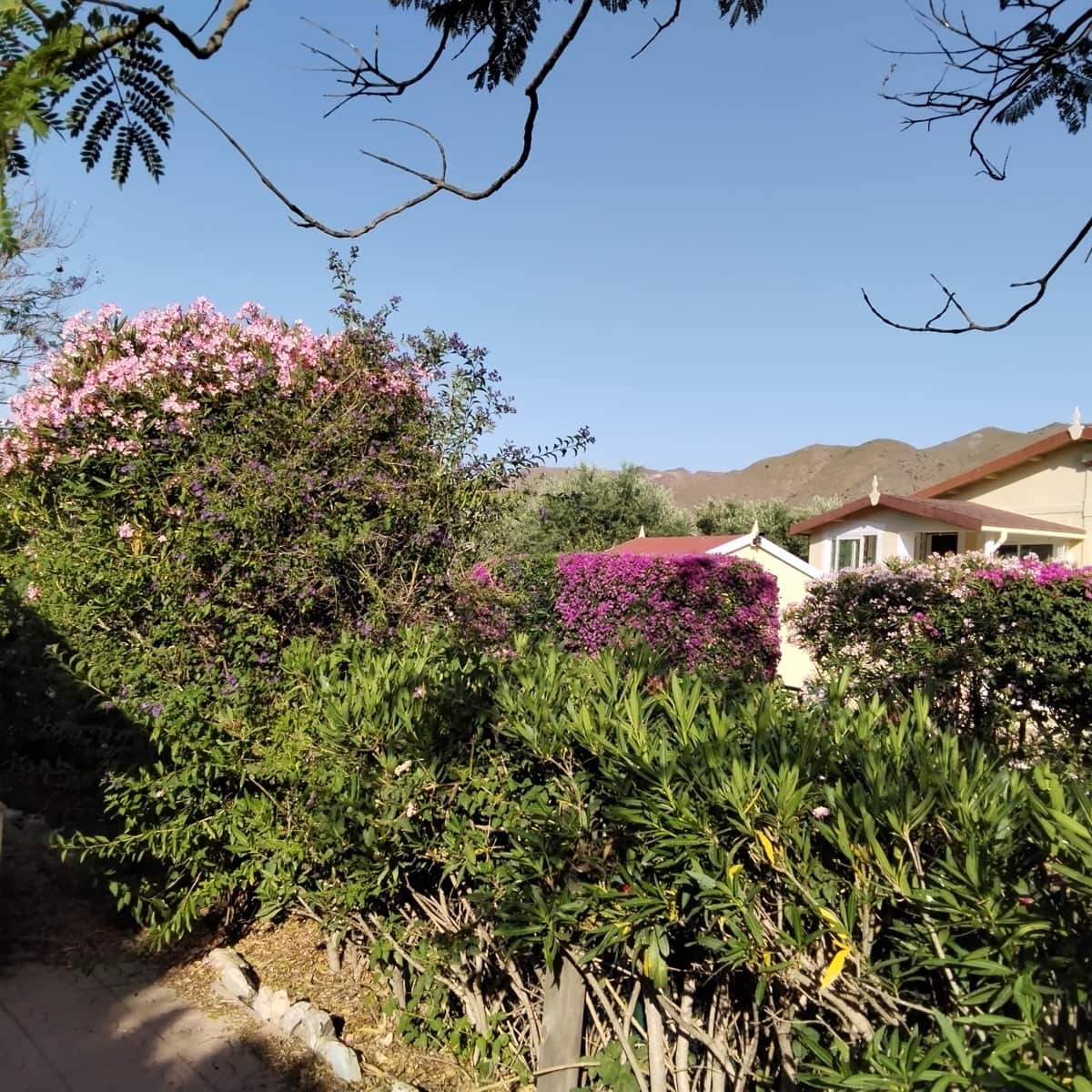 2 bedroom Mobile Home for sale in Cuevas del Almanzora with garage - € 40,000 (Ref: 9506534)