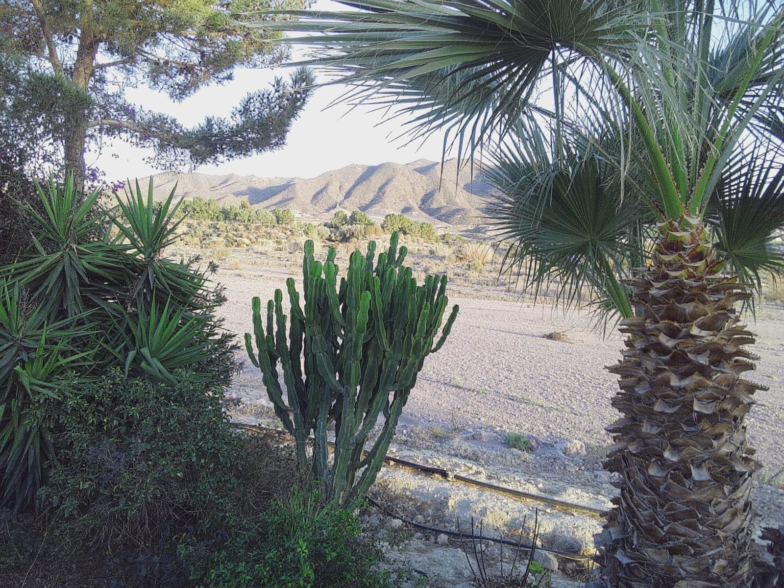 2 soveværelse Mobilhome til salg i Cuevas del Almanzora med garage - € 35.000 (Ref: 9566808)