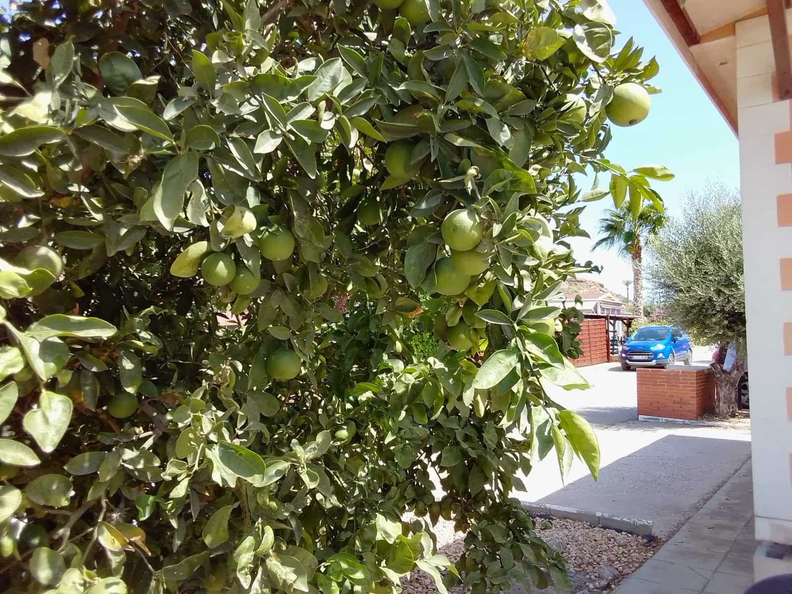 2 bedroom Mobile Home for sale in Cuevas del Almanzora with garage - € 39,500 (Ref: 9834793)