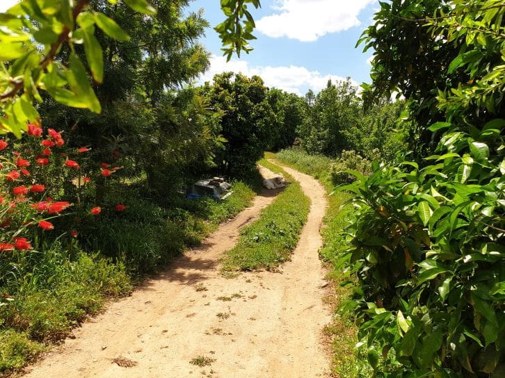 2 soveværelse Finca/Landehus til salg i Sanlucar de Guadiana med swimmingpool garage - € 180.000 (Ref: 9227846)