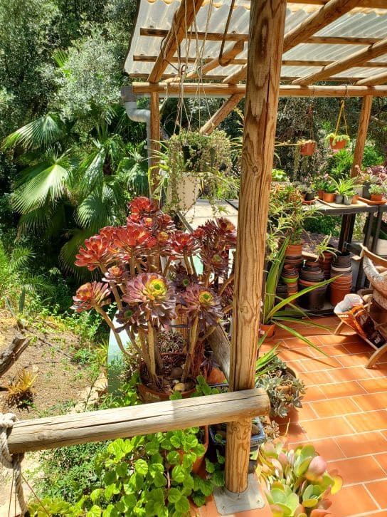 2 soveværelse Finca/Landehus til salg i Sanlucar de Guadiana med swimmingpool garage - € 180.000 (Ref: 9227846)