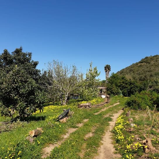 2 soveværelse Finca/Landehus til salg i Sanlucar de Guadiana med swimmingpool garage - € 180.000 (Ref: 9227846)