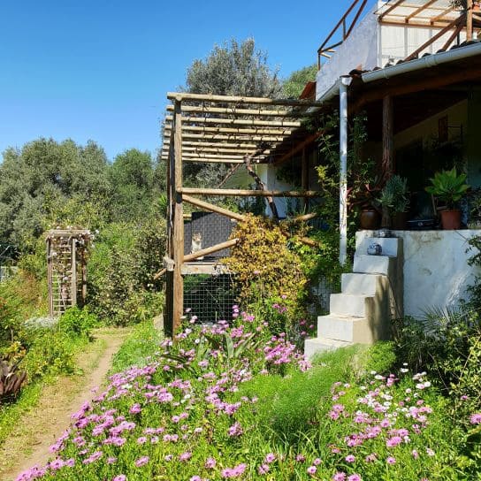 2 soveværelse Finca/Landehus til salg i Sanlucar de Guadiana med swimmingpool garage - € 180.000 (Ref: 9227846)