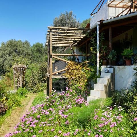 2 camera da letto Finca/Casa di Campagna in vendita in Sanlúcar de Guadiana con piscina garage - 180.000 € (Rif: 9227846)