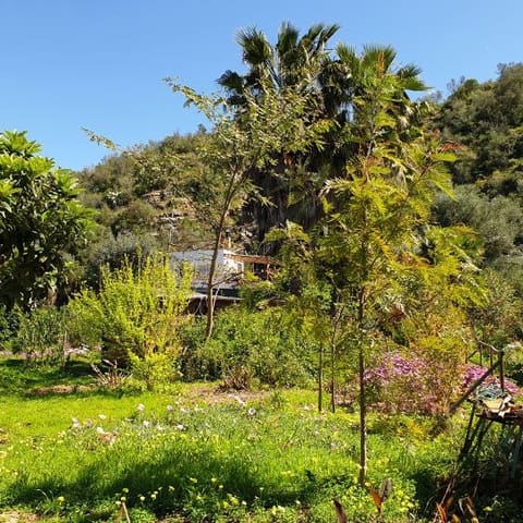 2 camera da letto Finca/Casa di Campagna in vendita in Sanlúcar de Guadiana con piscina garage - 180.000 € (Rif: 9227846)