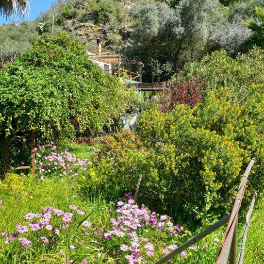 2 soveværelse Finca/Landehus til salg i Sanlucar de Guadiana med swimmingpool garage - € 180.000 (Ref: 9227846)