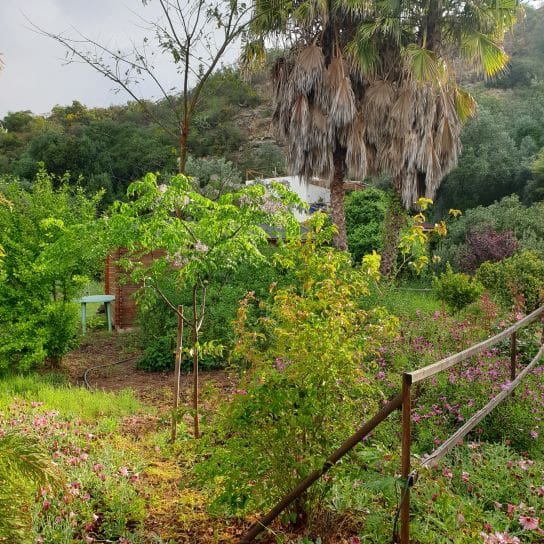 2 soveværelse Finca/Landehus til salg i Sanlucar de Guadiana med swimmingpool garage - € 180.000 (Ref: 9227846)