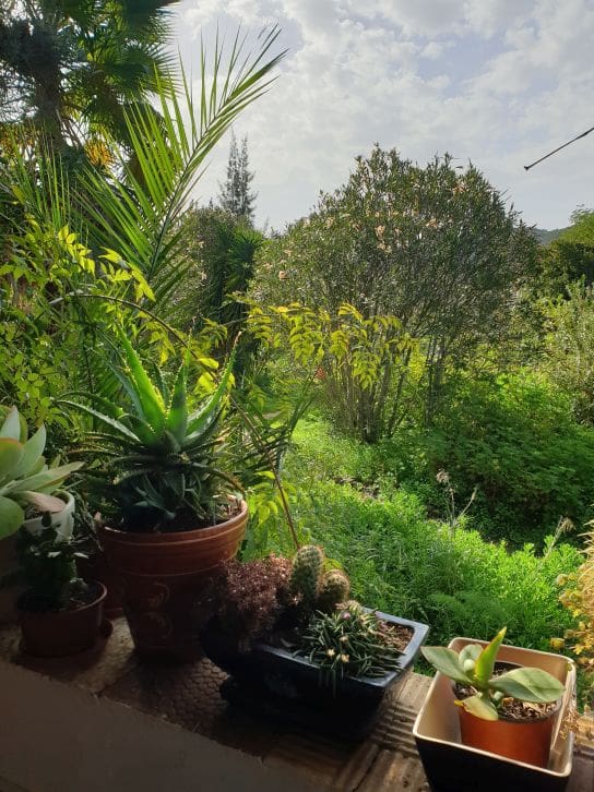 2 soveværelse Finca/Landehus til salg i Sanlucar de Guadiana med swimmingpool garage - € 180.000 (Ref: 9227846)