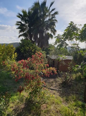 2 camera da letto Finca/Casa di Campagna in vendita in Sanlúcar de Guadiana con piscina garage - 180.000 € (Rif: 9227846)