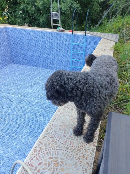 2 soveværelse Finca/Landehus til salg i Sanlucar de Guadiana med swimmingpool garage - € 180.000 (Ref: 9227846)