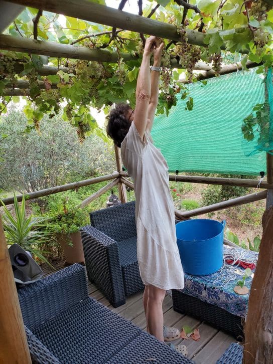 2 soveværelse Finca/Landehus til salg i Sanlucar de Guadiana med swimmingpool garage - € 180.000 (Ref: 9227846)