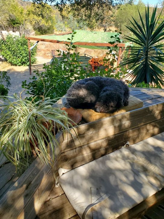 2 soveværelse Finca/Landehus til salg i Sanlucar de Guadiana med swimmingpool garage - € 180.000 (Ref: 9227846)