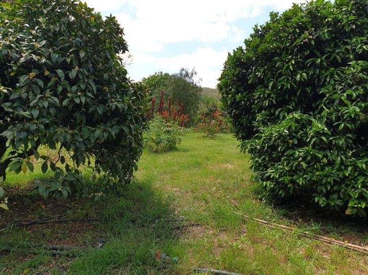 2 soveværelse Finca/Landehus til salg i Sanlucar de Guadiana med swimmingpool garage - € 180.000 (Ref: 9227846)