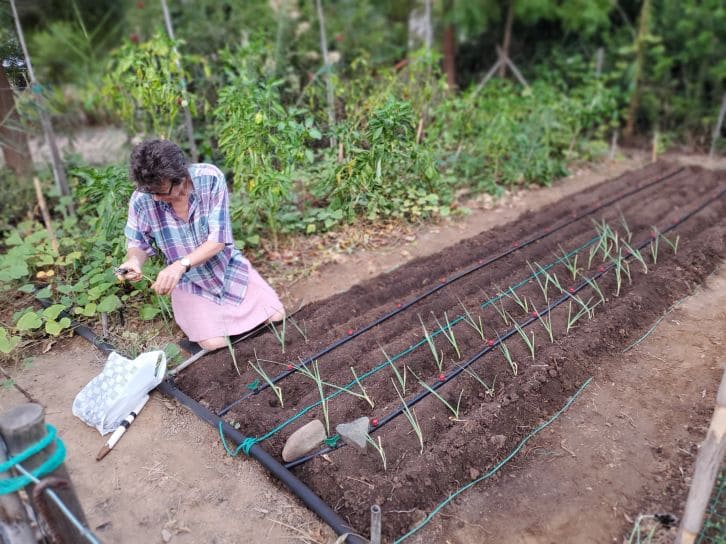 2 soveværelse Finca/Landehus til salg i Sanlucar de Guadiana med swimmingpool garage - € 180.000 (Ref: 9227846)