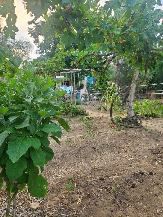 2 soveværelse Finca/Landehus til salg i Sanlucar de Guadiana med swimmingpool garage - € 180.000 (Ref: 9227846)