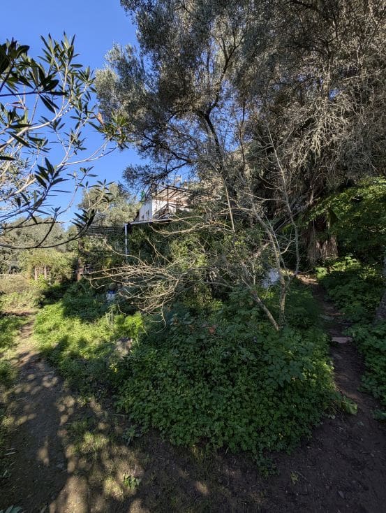 2 soveværelse Finca/Landehus til salg i Sanlucar de Guadiana med swimmingpool garage - € 180.000 (Ref: 9227846)