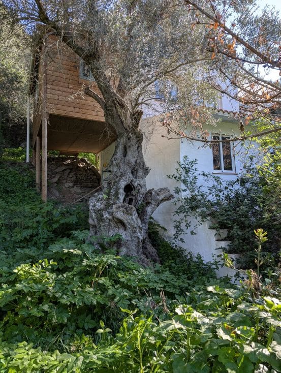 2 soveværelse Finca/Landehus til salg i Sanlucar de Guadiana med swimmingpool garage - € 180.000 (Ref: 9227846)